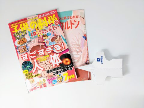 【開封レビュー】子供の科学 2022年 7月号 《定期購読プレゼント》オリジナル紙飛行機型